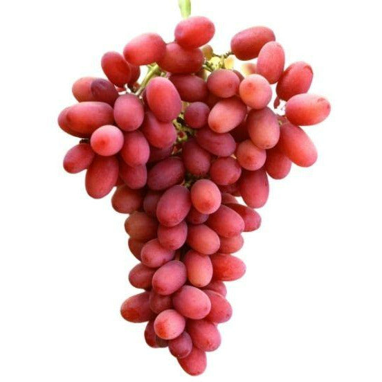 Grapes Seedless (1kg)